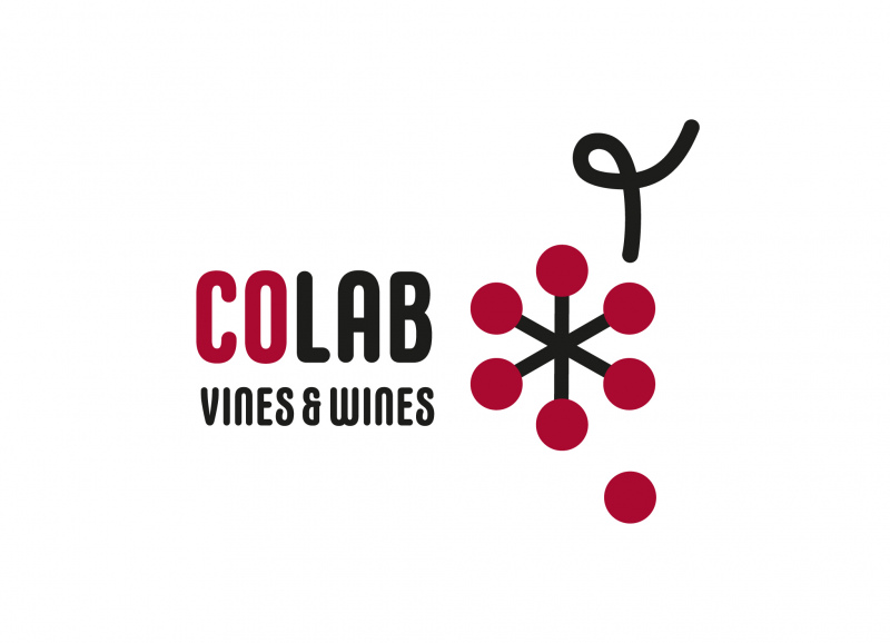 Colab Vines&Wines Brokerage Event em Anadia, 10 de Dezembro
