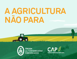 Programas de Apoio à Agricultura